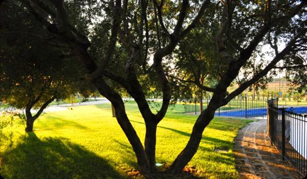 Tenuta Santa Lucia Ξενοδοχείο Σαν Τζιοβάνι Ροτόντο Εξωτερικό φωτογραφία