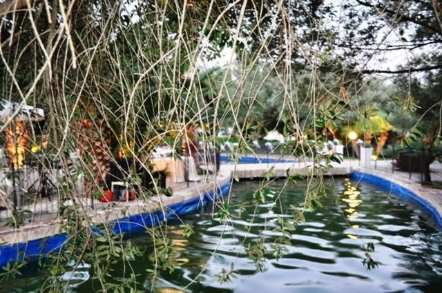 Tenuta Santa Lucia Ξενοδοχείο Σαν Τζιοβάνι Ροτόντο Εξωτερικό φωτογραφία