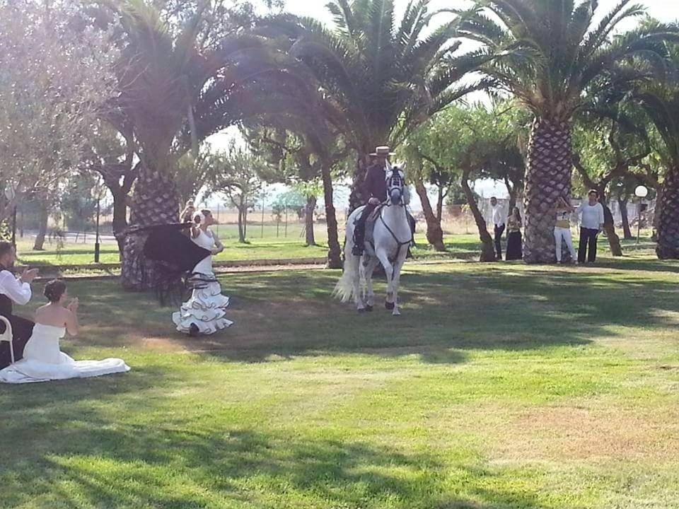 Tenuta Santa Lucia Ξενοδοχείο Σαν Τζιοβάνι Ροτόντο Εξωτερικό φωτογραφία